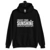 Create Your Sunshine Unisex Hoodie